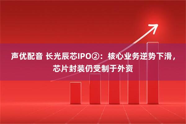 声优配音 长光辰芯IPO②：核心业务逆势下滑，芯片封装仍受制于外资