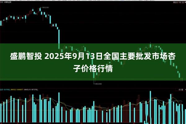 盛鹏智投 2025年9月13日全国主要批发市场杏子价格行情