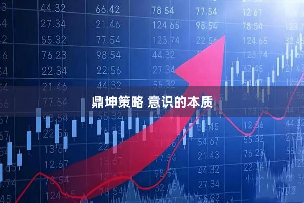 鼎坤策略 意识的本质