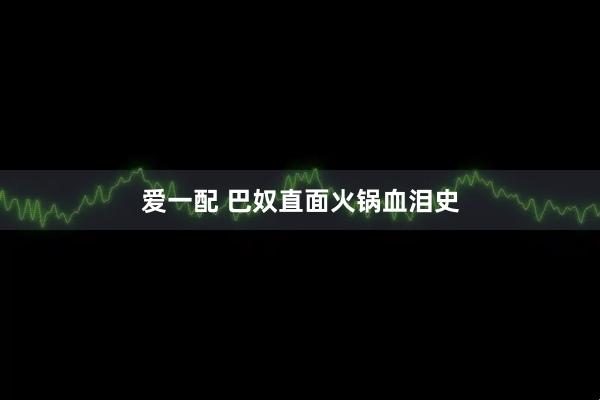 爱一配 巴奴直面火锅血泪史